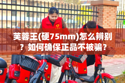 芙蓉王(硬75mm)怎么辨别？如何确保正品不被骗？